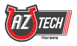 AZTECH HORSES