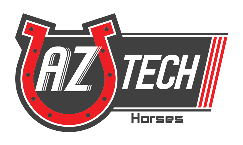 AZTECH HORSES